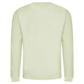 Pistachio Green - Back - AWDis Just Hoods AWDis Unisex Crew Neck Plain Sweatshirt (280 GSM)