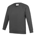 Charcoal - Front - AWDis Academy Childrens-Kids Crew Neck Raglan School Sweatshirt