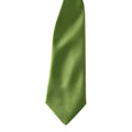 Oasis Green - Back - Premier Colours Mens Satin Clip Tie (Pack of 2)