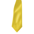 Sunflower - Back - Premier Colours Mens Satin Clip Tie (Pack of 2)