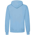 Sky Blue - Back - Fruit Of The Loom Unisex Adults Classic Hooded Sweatshirt