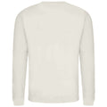 Light Vanilla - Back - Awdis Mens Sweatshirt