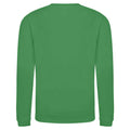 Kelly Green - Back - Awdis Childrens-Kids Sweatshirt