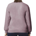 Paragon - Back - Gildan Unisex Adult Softstyle Fleece Midweight Sweatshirt