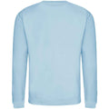 Ice Blue - Back - Awdis Unisex Adult Soft Touch Sweatshirt