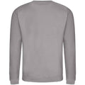 Platinum Grey - Back - Awdis Unisex Adult Soft Touch Sweatshirt