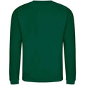 Rainforest Green - Back - Awdis Unisex Adult Soft Touch Sweatshirt