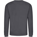 Shark Grey - Back - Awdis Unisex Adult Soft Touch Sweatshirt