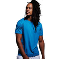 Sapphire Blue - Back - Anthem Unisex Adult Midweight Organic T-Shirt