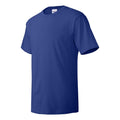 Deep Royal - Side - Hanes Essential-T T-Shirt