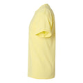 Lemon Meringue Heather - Side - Hanes Perfect-T Triblend T-Shirt