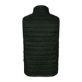 Black - Back - Burnside Elemental Puffer Vest