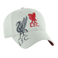 Grey - Front - Liverpool FC Unisex Adult Obsidian Crest Baseball Cap