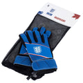 Blue-White - Side - England FA Childrens-Kids Goalkeeper Gloves