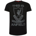 Black-Grey - Front - Liverpool FC Mens This Is Anfield T-Shirt