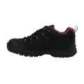 Black - Lifestyle - Trespass Womens-Ladies Mitzi Low Cut Hiking Shoes