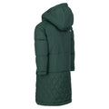 Pine - Back - Trespass Childrens-Kids Orrin Jacket