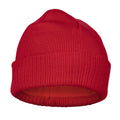 Red - Back - Trespass Unisex Adult Enola DLX Beanie