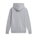 Sports Grey - Back - Cotton Soul Womens-Ladies Pullover Hoodie