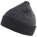 Black - Lifestyle - Clique Unisex Adult Hubert Reflective Beanie