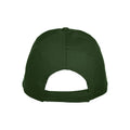 Bottle Green - Back - Clique Unisex Adult Texas Cap