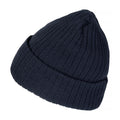 Dark Navy - Lifestyle - Clique Unisex Adult Milas Beanie