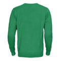 Fresh Green - Back - Printer Mens Forehand Knitted V Neck Sweatshirt