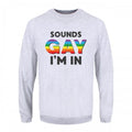 Front - Grindstore Mens Sounds Gay Im In Jumper