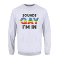 Grey - Front - Grindstore Mens Sounds Gay Im In Jumper